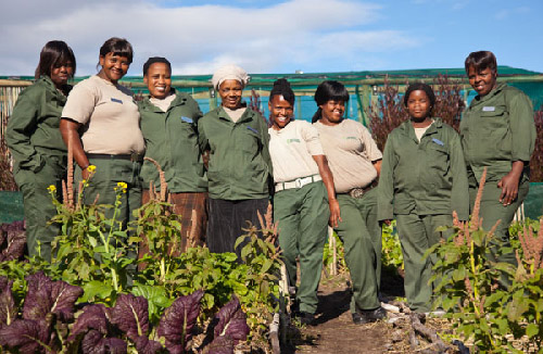 Grootbos Foundation growing the future
