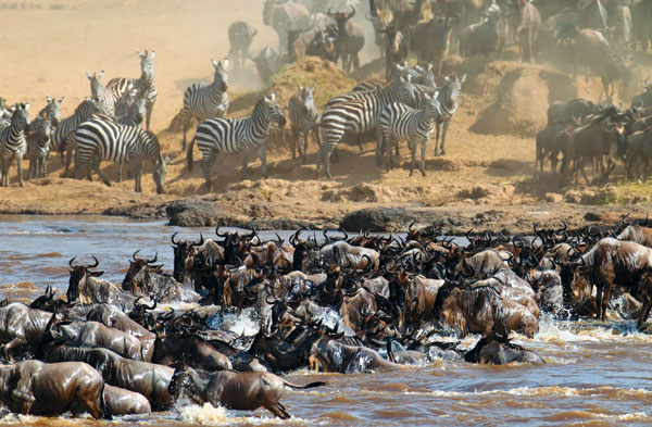 lands of the great migration