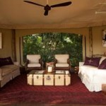 mara plains camp lounge