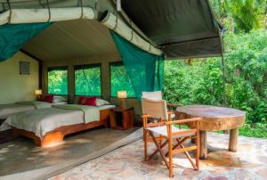 Ruzizi Tented Lodge twin bedded room