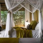 Sanctuary Gorilla Forest Camp bedroom