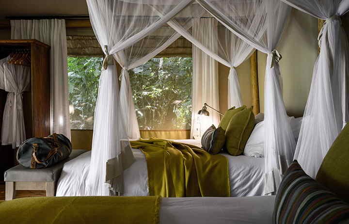 Sanctuary Gorilla Forest Camp bedroom