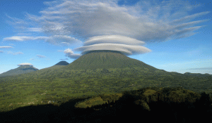 Rwanda Gorilla Trekking - 4 Days Volcanoes National Park