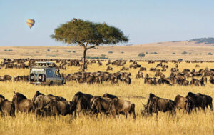 Kenya Romantic Safari